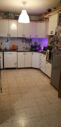 סיני - רשת מומחים לנדל״ן בכרמיאל והסביבה דירות להשכרה דירת גן 5 חד מפלס 1 בשכונת הדר