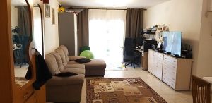 סיני - רשת מומחים לנדל״ן בכרמיאל והסביבה דירות להשכרה דירת גן 5 חד מפלס 1 בשכונת הדר